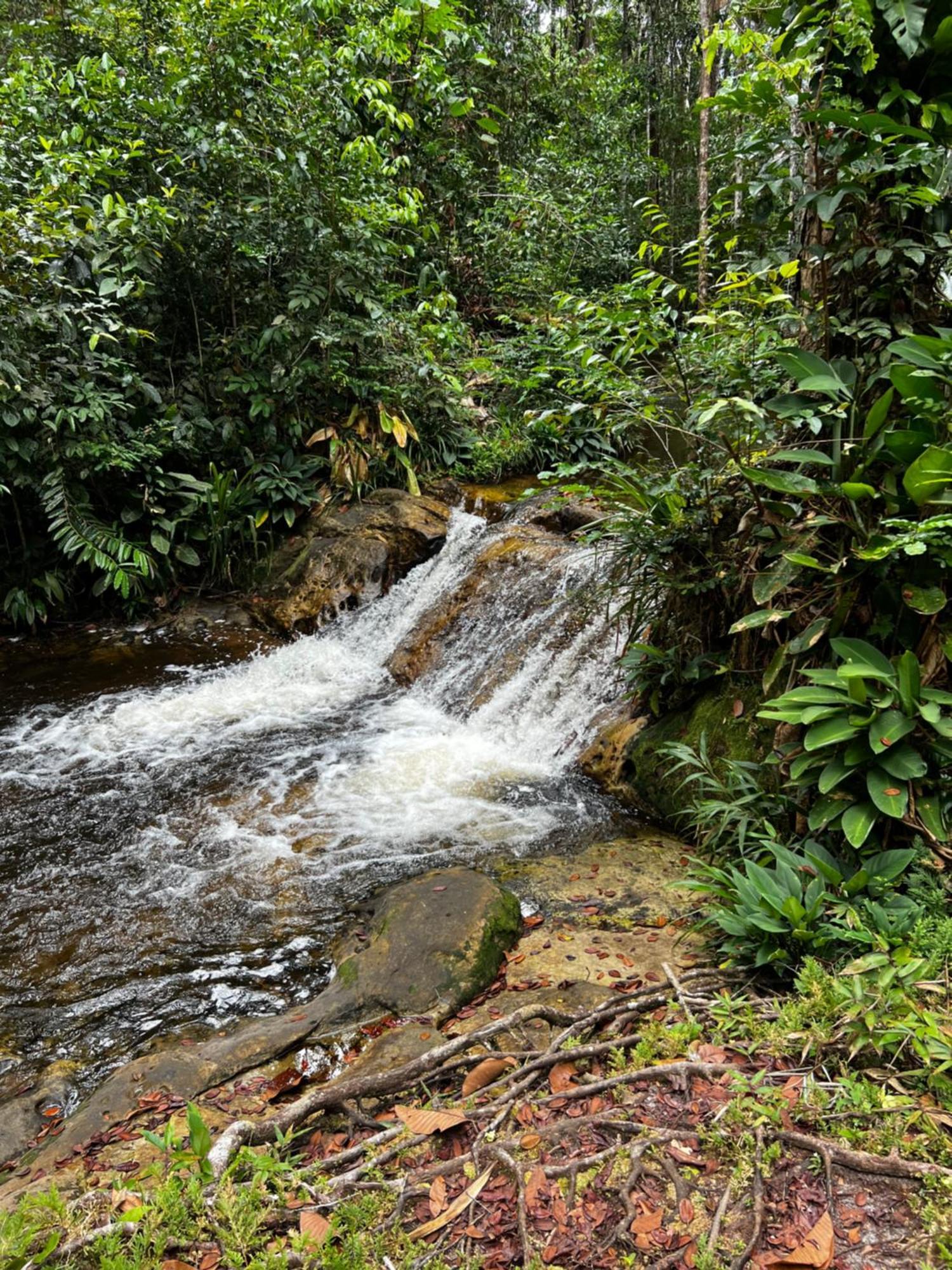 Pousada Paraiso Do Calango Azul Presidente Figueiredo Esterno foto