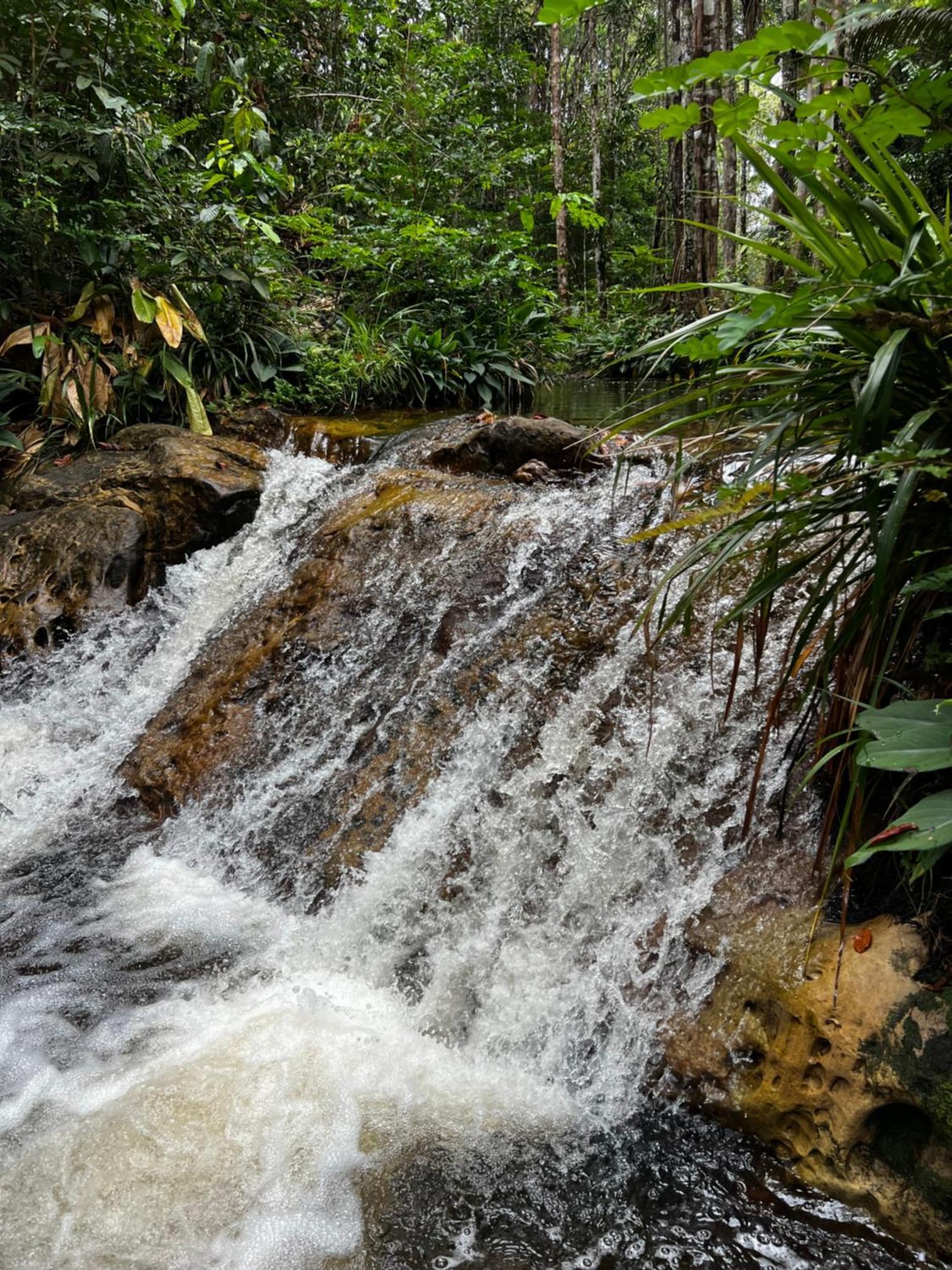 Pousada Paraiso Do Calango Azul Presidente Figueiredo Esterno foto