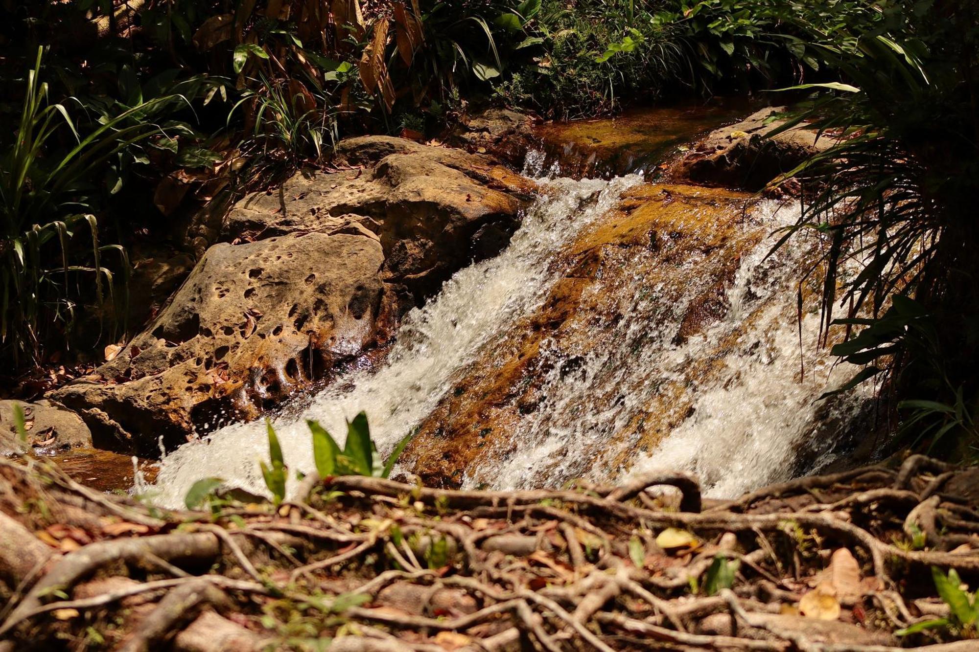 Pousada Paraiso Do Calango Azul Presidente Figueiredo Esterno foto