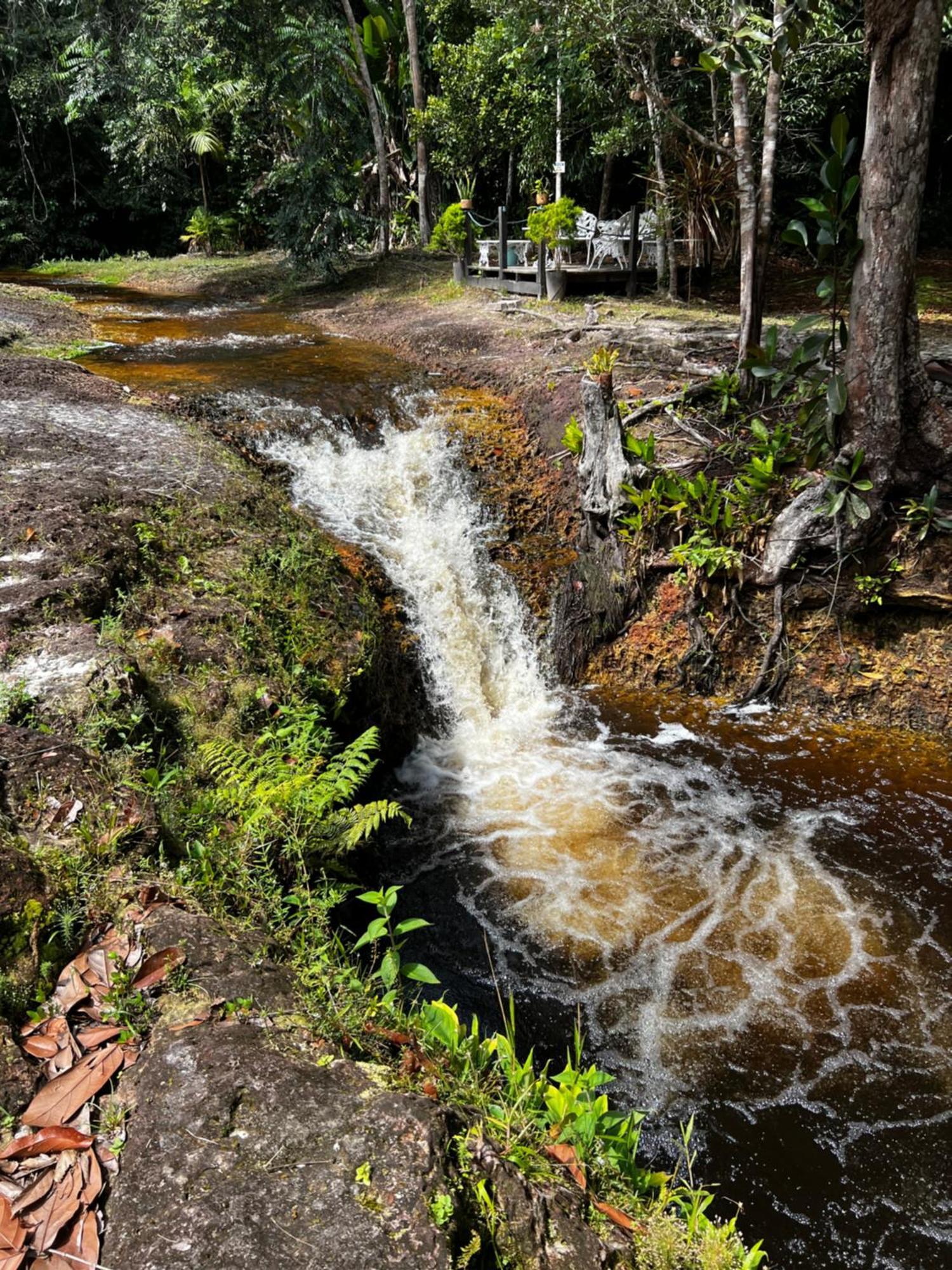 Pousada Paraiso Do Calango Azul Presidente Figueiredo Esterno foto