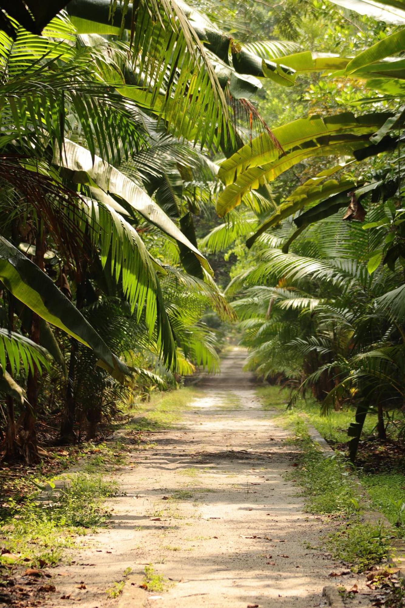 Pousada Paraiso Do Calango Azul Presidente Figueiredo Esterno foto